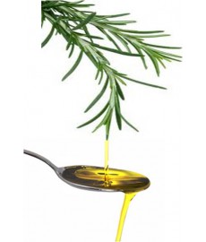 Huile de romarin (macérat) 60ml